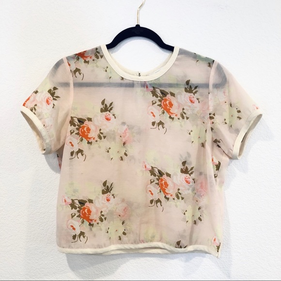 Piperlime Tops - Sheer Floral Crop Top